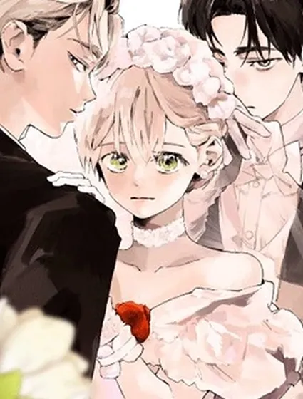 再見了,成為英雄的丈夫封面