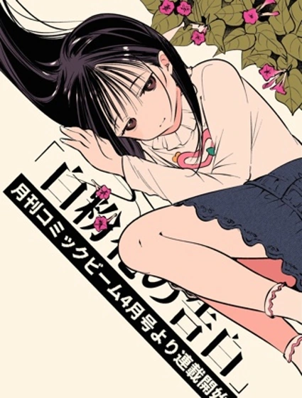 白粉花的告白封面